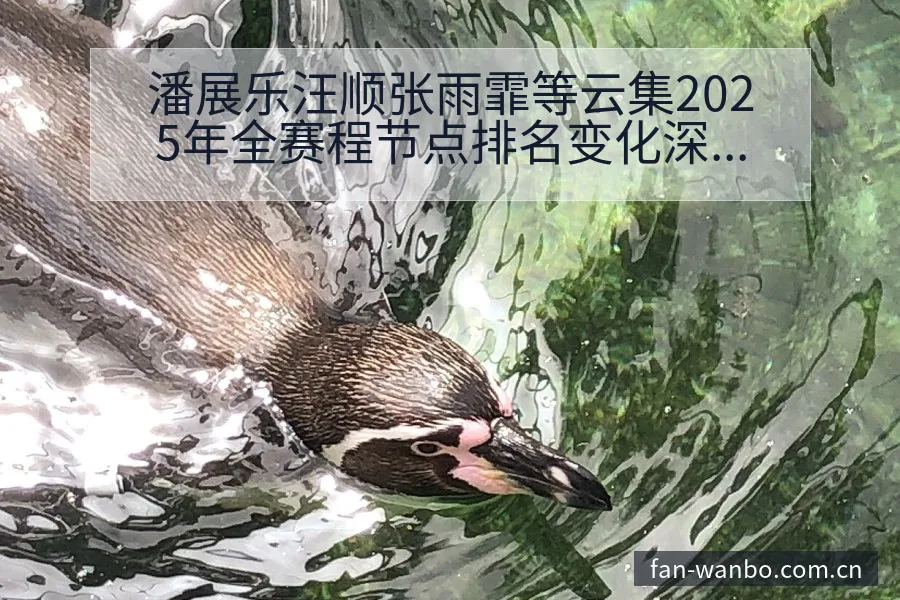 潘展乐汪顺张雨霏等云集2025年全赛程节点排名变化深度分 - 万博体育官网